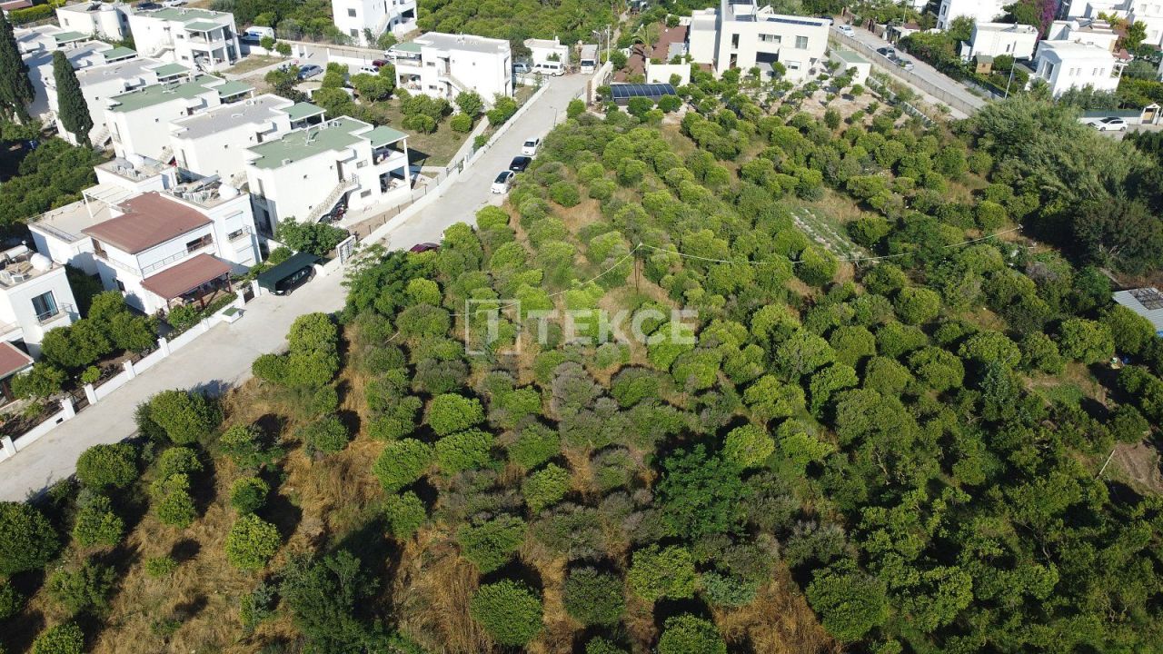 Granja en Bodrum, Turquia, 18 000 m² - imagen 2