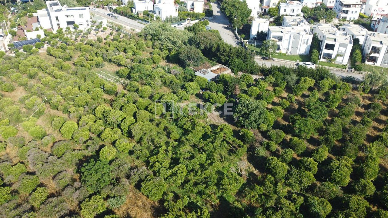 Granja en Bodrum, Turquia, 18 000 m² - imagen 5