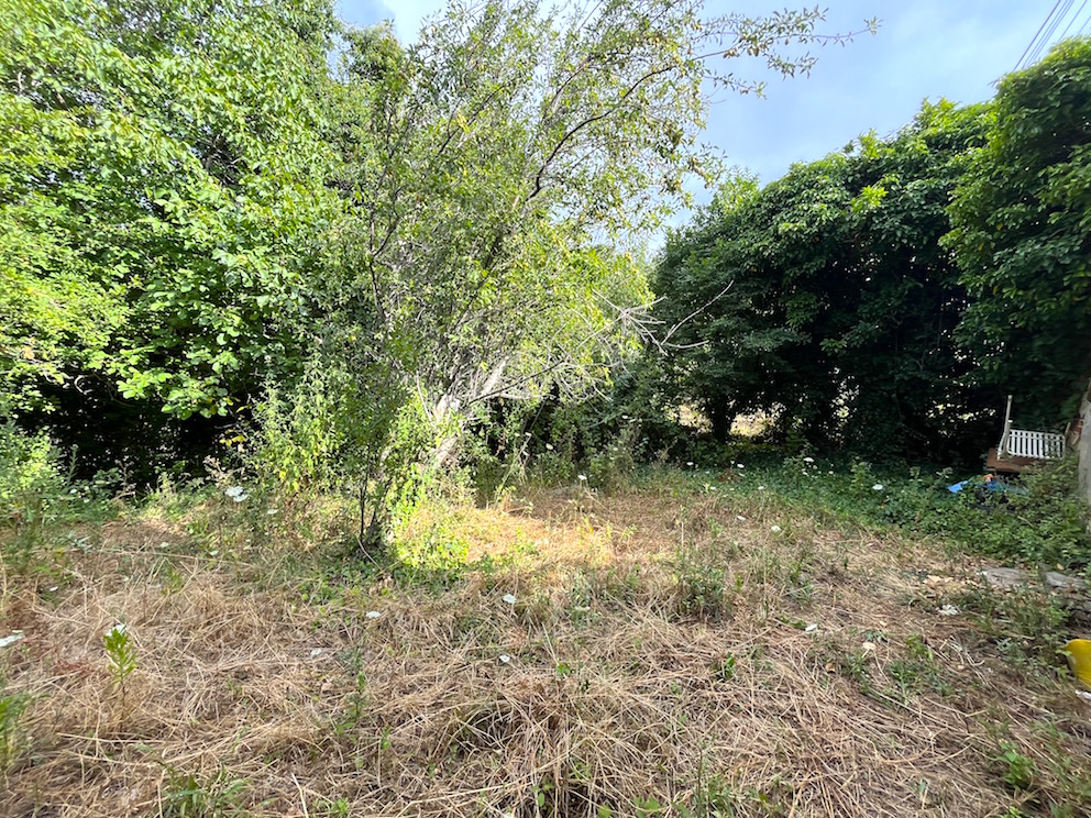 House in Santa Domenica Talao, Italy, 109 m² - picture 15