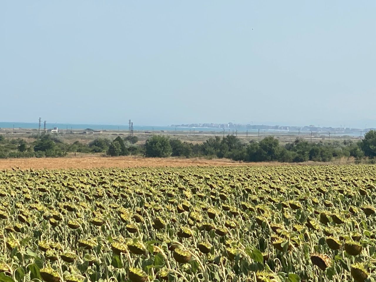 Terrain à Kablechkovo, Bulgarie, 10 000 m² - image 2