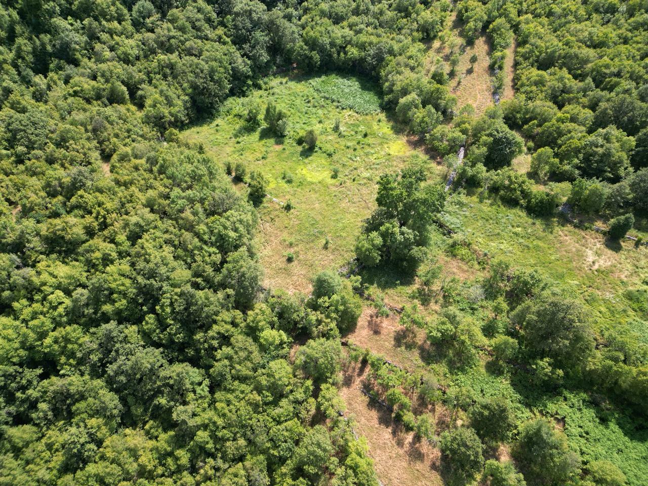 Terreno a Bar, Montenegro, 48 908 m2 - foto 2