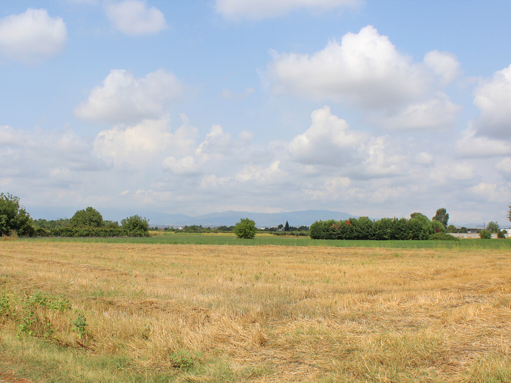 Terrain à Piérie, Grèce, 13 750 m² - image 1