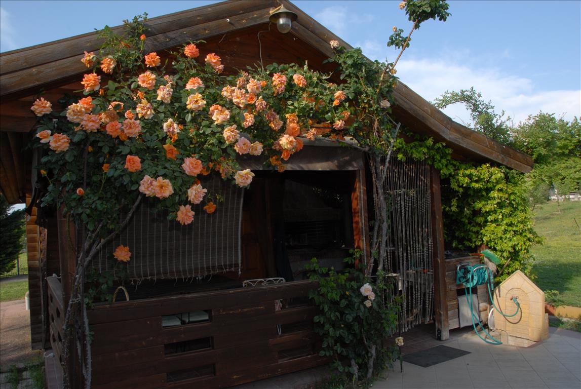 Casa a Salonicco, Grecia, 340 m² - foto 4