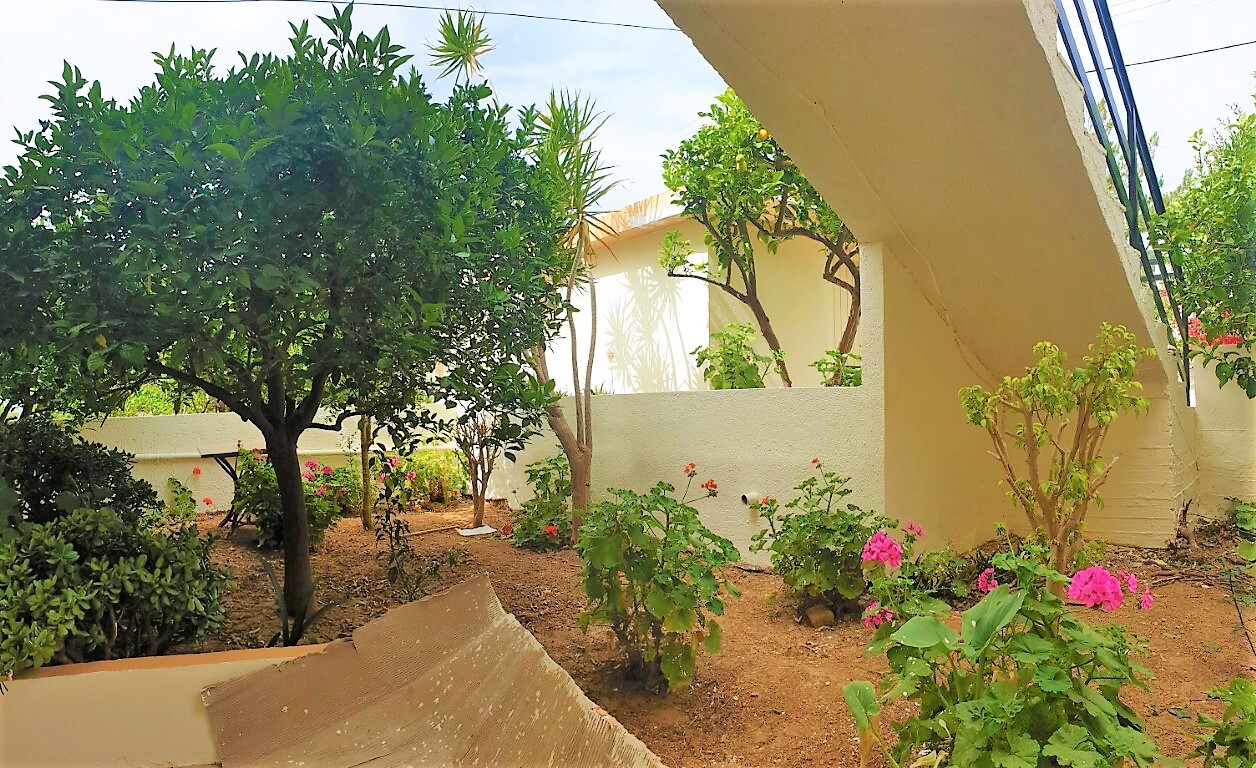 Hotel, albergo a Malia, Grecia, 440 m² - foto 5