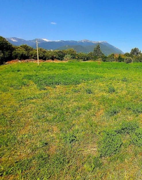 Land in San Felice del Benaco, Italy, 10 000 m² - picture 1