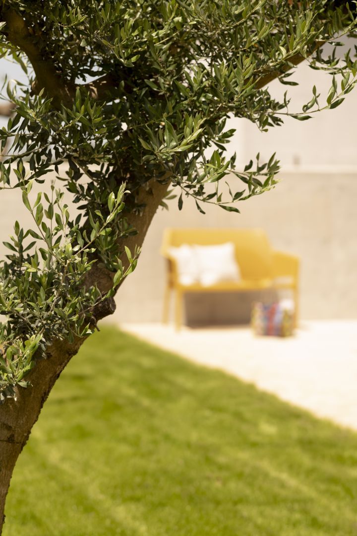 Villa in Rovinj, Croatia, 230 m² - picture 8