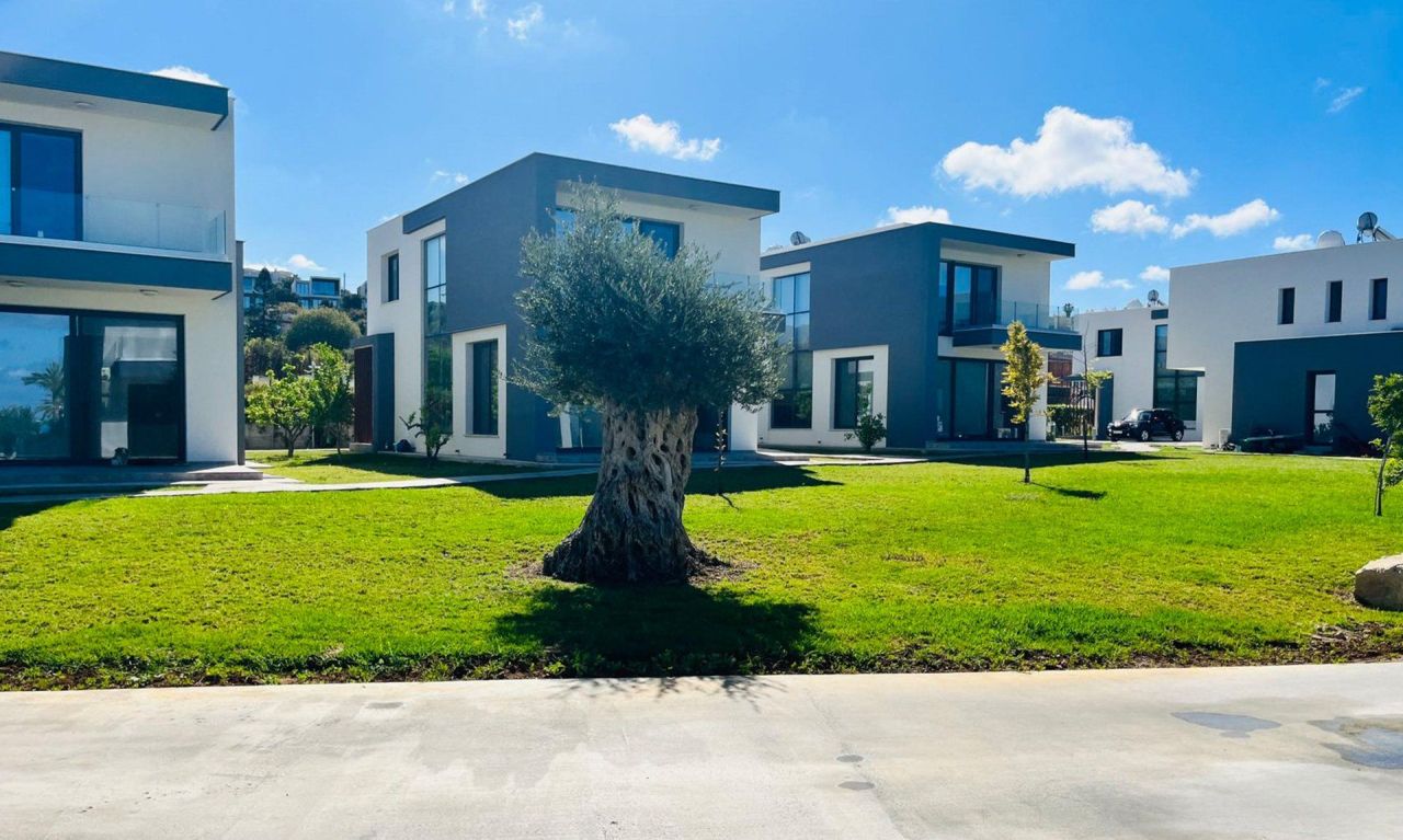 Terrain à Kissonerga, Chypre, 200 m² - image 1