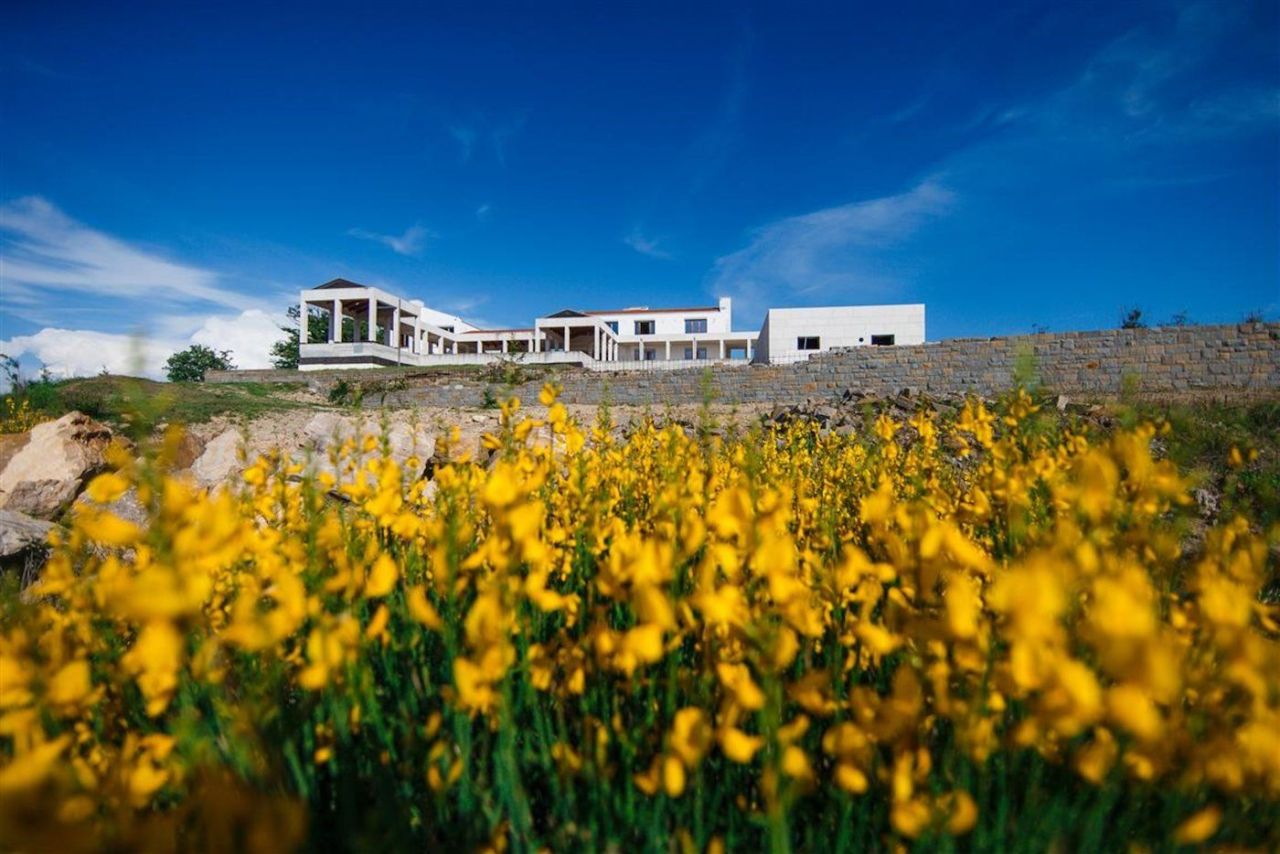 Terrain à Izola, Slovénie, 33 102 m² - image 1