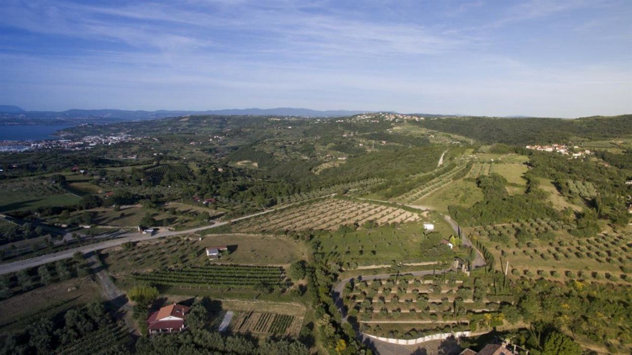 Terrain à Izola, Slovénie, 33 102 m² - image 17