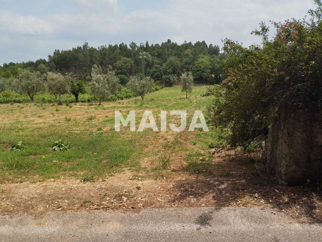 Grundstück Ferreira do Zêzere, Portugal, 4 000 m² - Foto 1