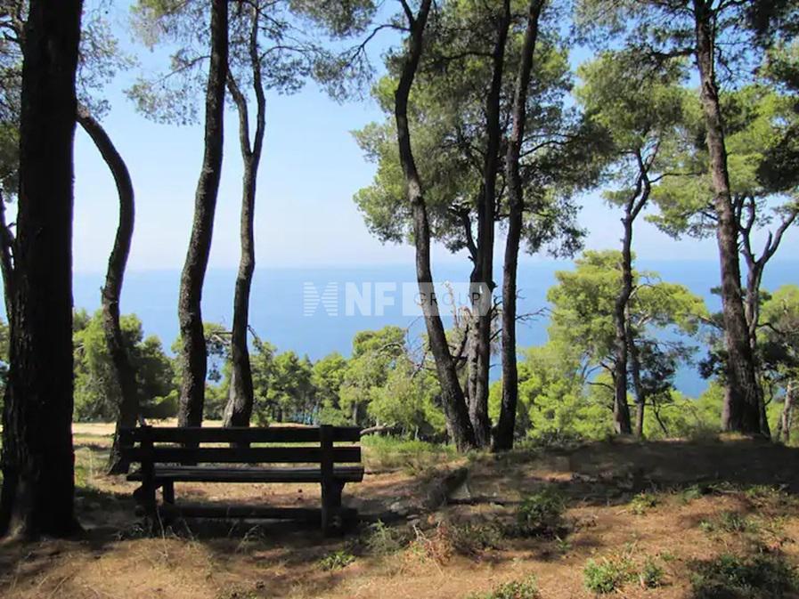 Villa a Sani, Grecia, 100 m² - foto 2