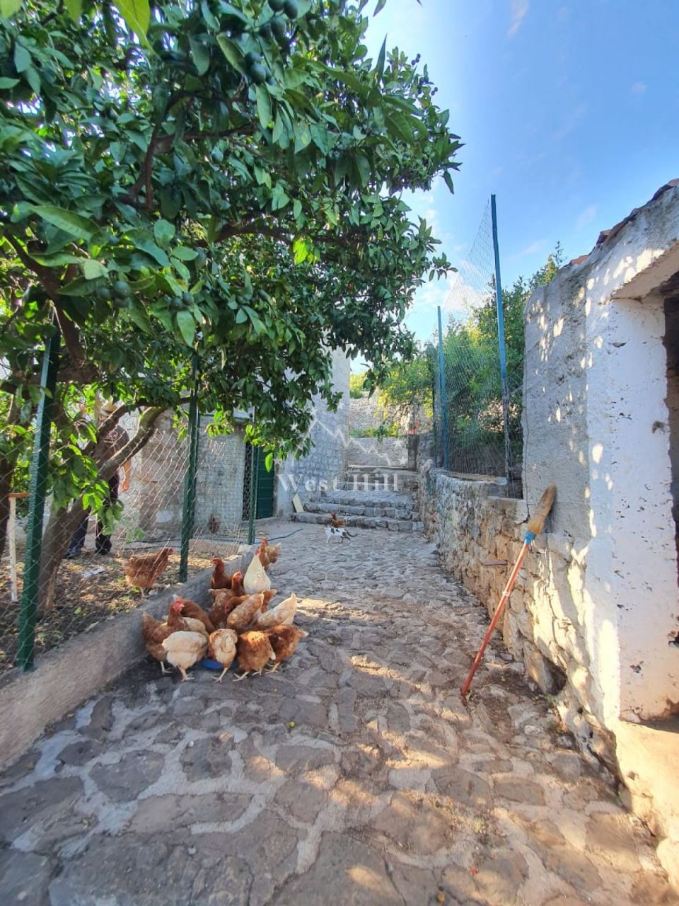 Haus in Rose, Montenegro, 238 m² - Foto 9