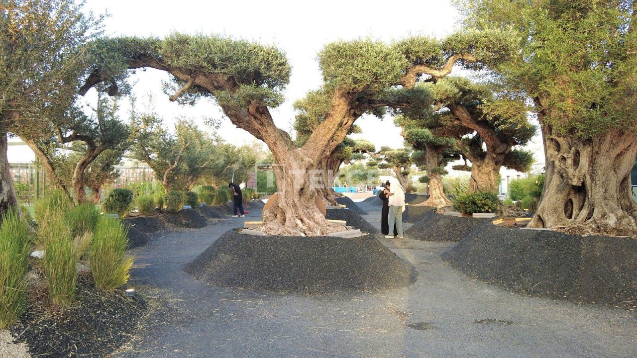 Apartment Meydan, UAE, 105 m² - picture 4