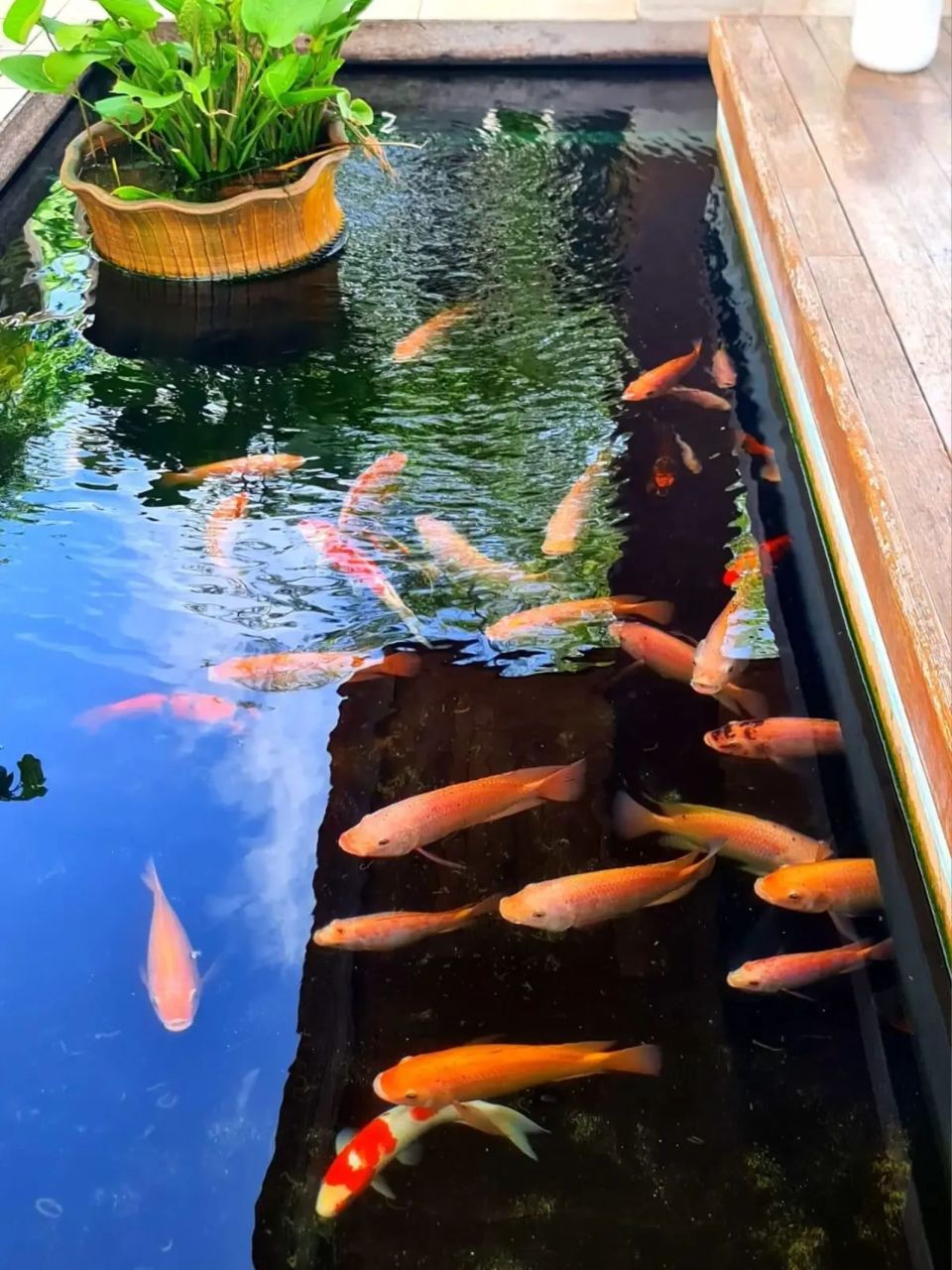 Villa à Phuket, Thaïlande, 2 290 m² - image 9