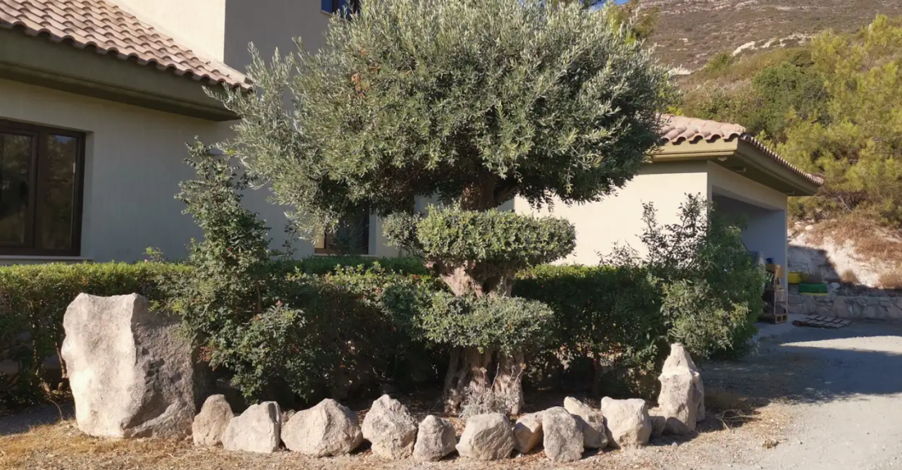 Casa en Limasol, Chipre, 350 m² - imagen 4