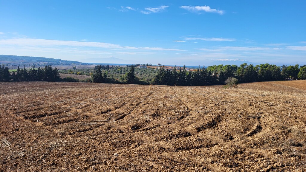 Land in Kassandra, Greece, 13 600 m² - picture 1