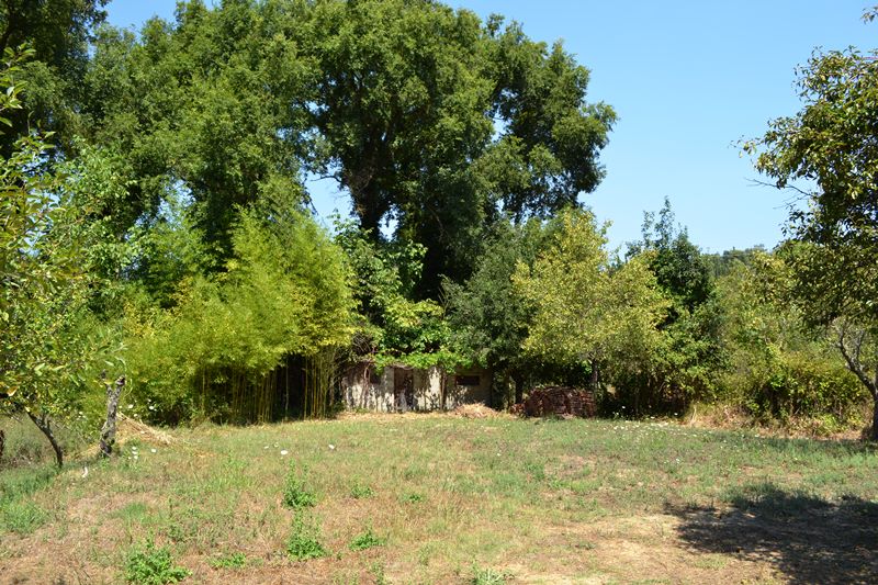 Haus in Korfu, Griechenland, 400 m² - Foto 1