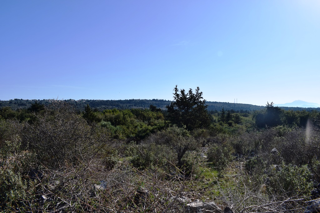 Land in Heraklion, Greece, 13 000 m² - picture 1