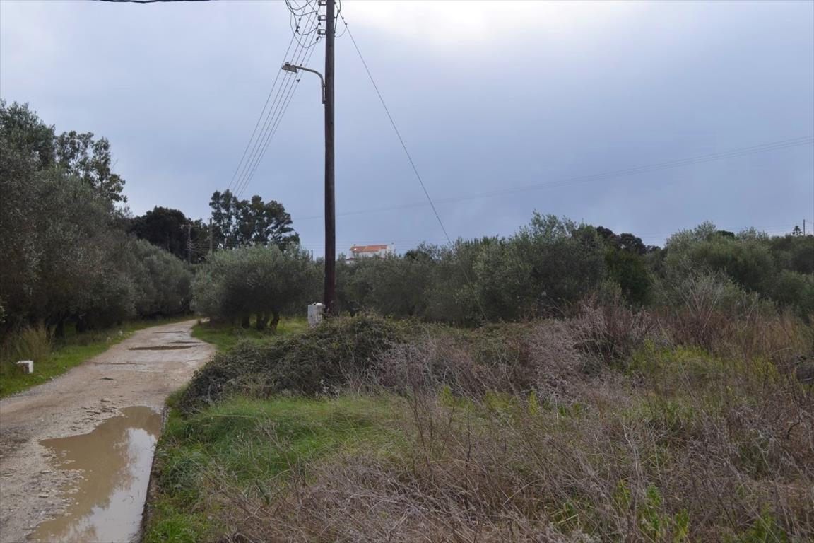 Land in Corfu, Greece, 5 500 m² - picture 1