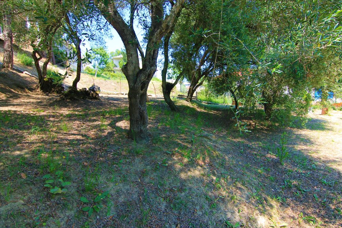 Land in Corfu, Greece, 1 350 m² - picture 1