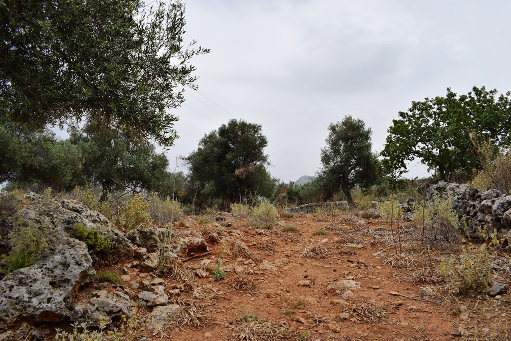 Land in Heraklion, Greece, 4 000 m² - picture 1