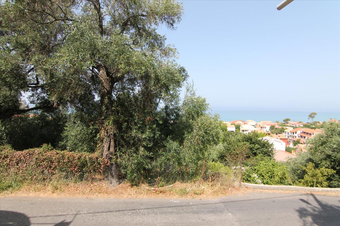 Land in Corfu, Greece, 2 245 m² - picture 1
