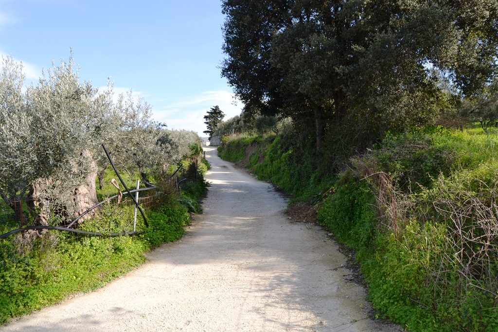 Terrain à Héraklion, Grèce, 5 500 m² - image 1