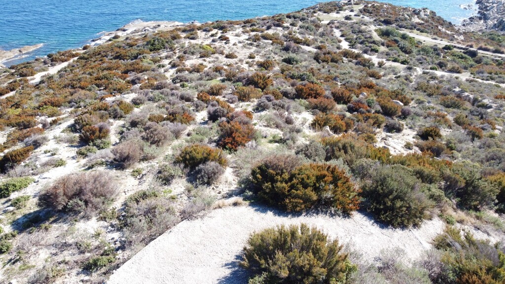 Land in Chalkidiki, Greece, 500 m² - picture 1