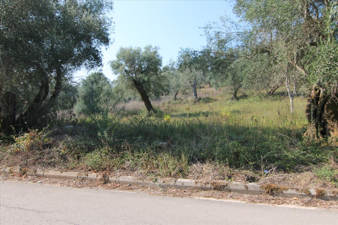 Land in Corfu, Greece, 4 000 m² - picture 1