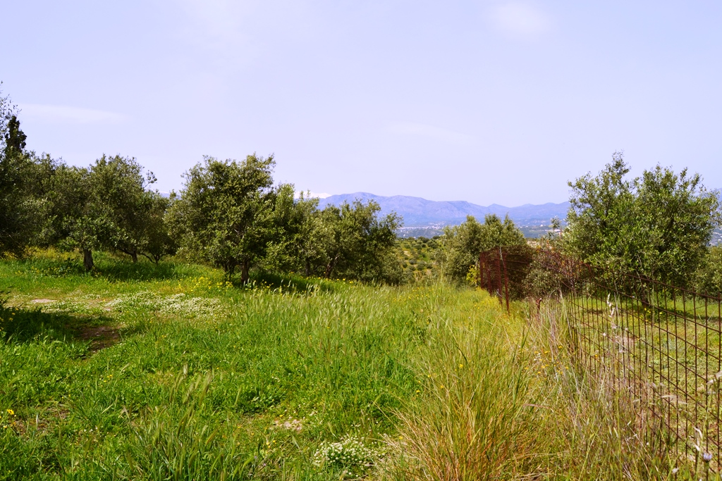 Terrain à Héraklion, Grèce, 2 900 m² - image 1