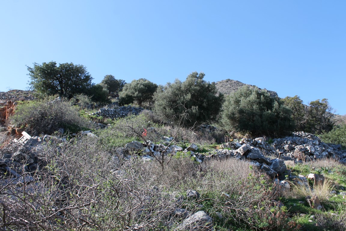 Terrain à Héraklion, Grèce, 2 524 m² - image 1