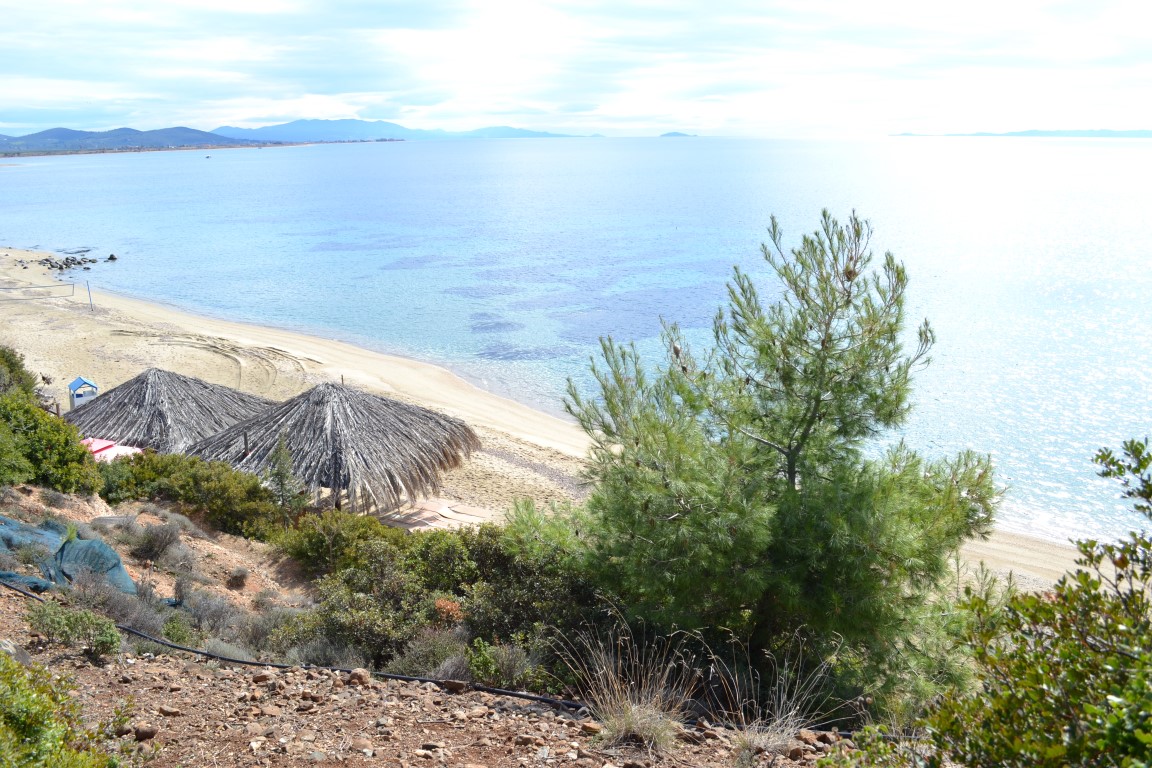 Terreno en Sitonia, Grecia, 4 913 m² - imagen 1