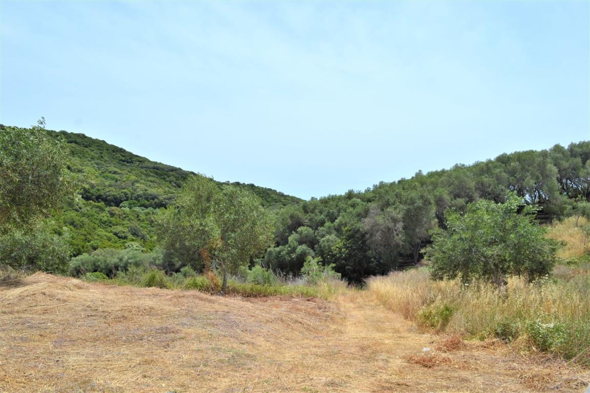 Grundstück in Korfu, Griechenland, 12 000 m² - Foto 1