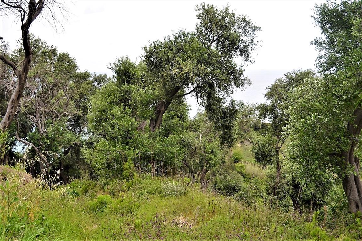 Grundstück in Korfu, Griechenland, 5 000 m² - Foto 1