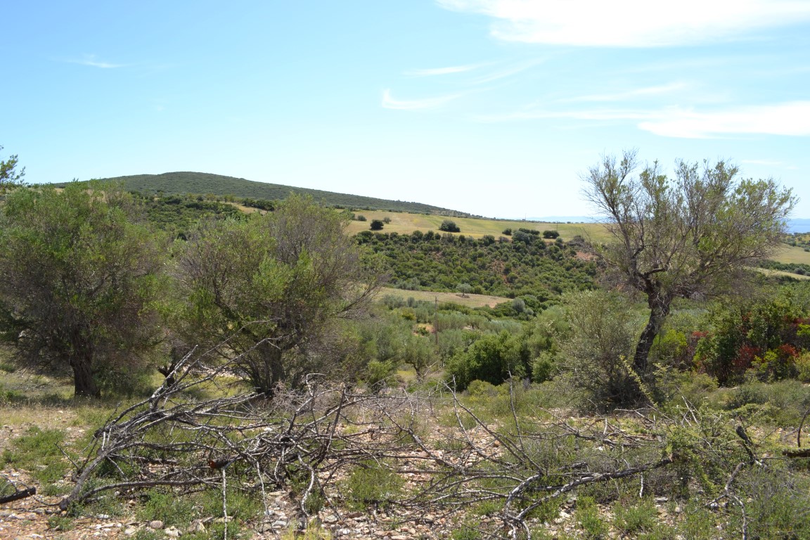 Terrain en Chalcidique, Grèce, 20 000 m² - image 1