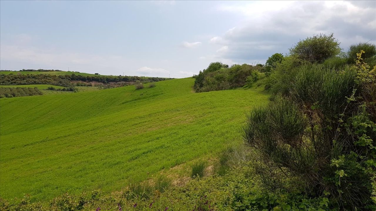 Terrain en Chalcidique, Grèce, 18 000 m² - image 1