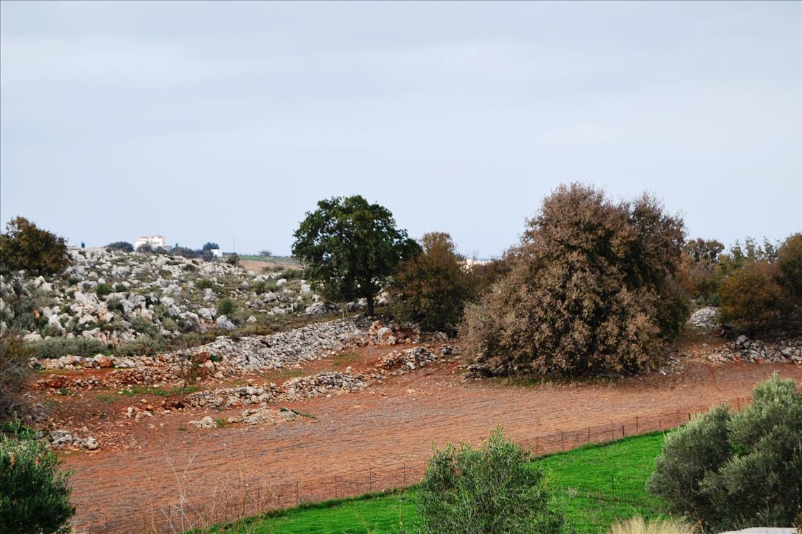 Terreno en Heraclión, Grecia, 8 500 m² - imagen 1