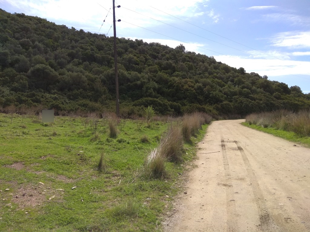 Terrain en Sithonie, Grèce, 2 250 m² - image 1