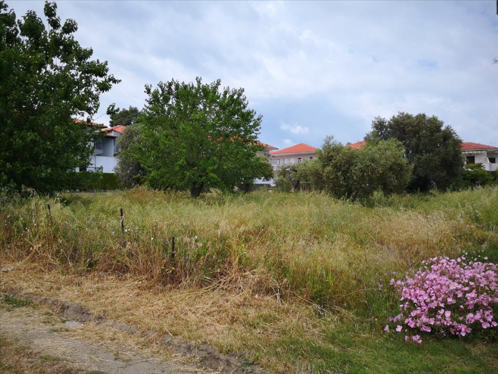 Terrain à Kassandra, Grèce, 4 500 m² - image 1