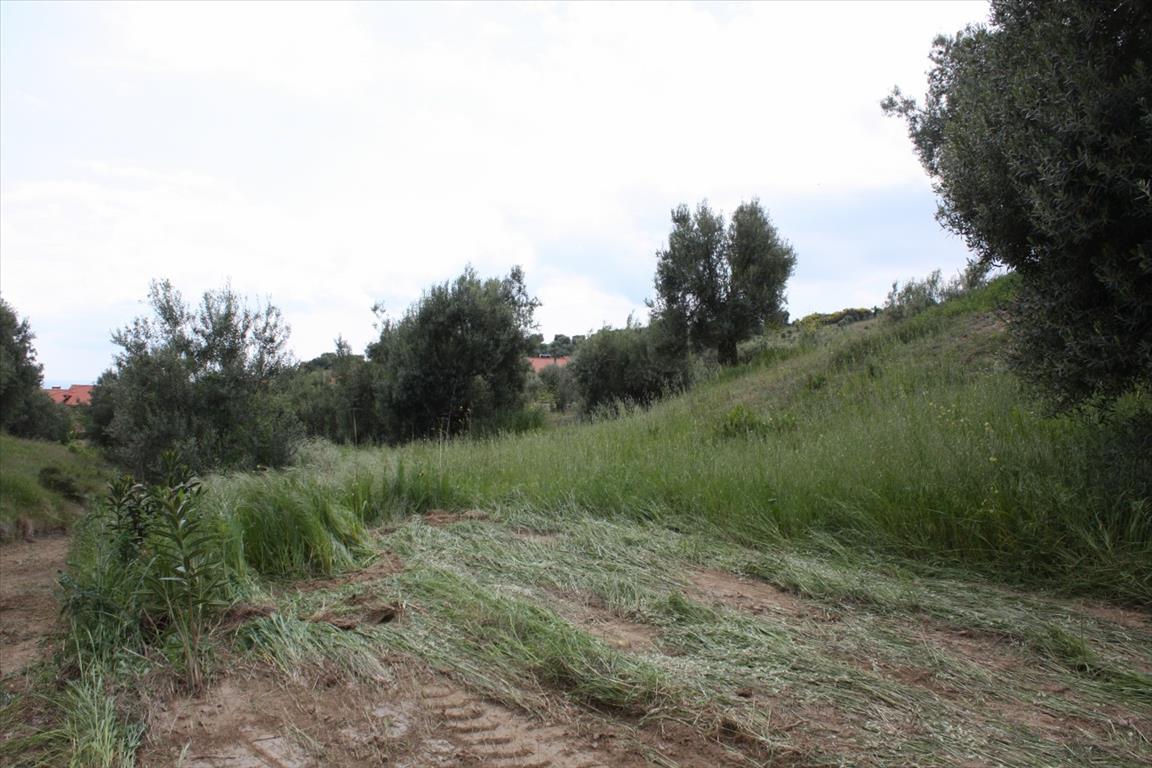 Grundstück in Kassandra, Griechenland, 23 000 m² - Foto 1