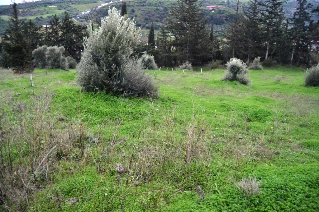 Terrain à Héraklion, Grèce, 4 100 m² - image 1