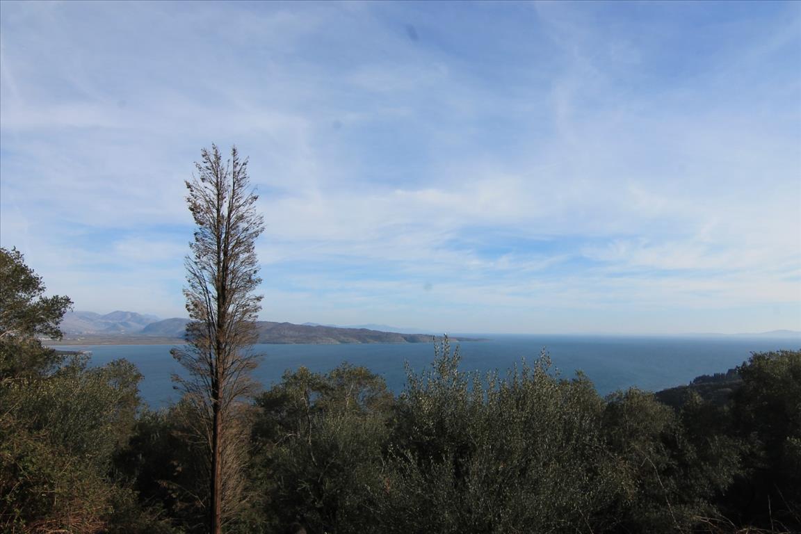 Land in Corfu, Greece, 2 400 m² - picture 1