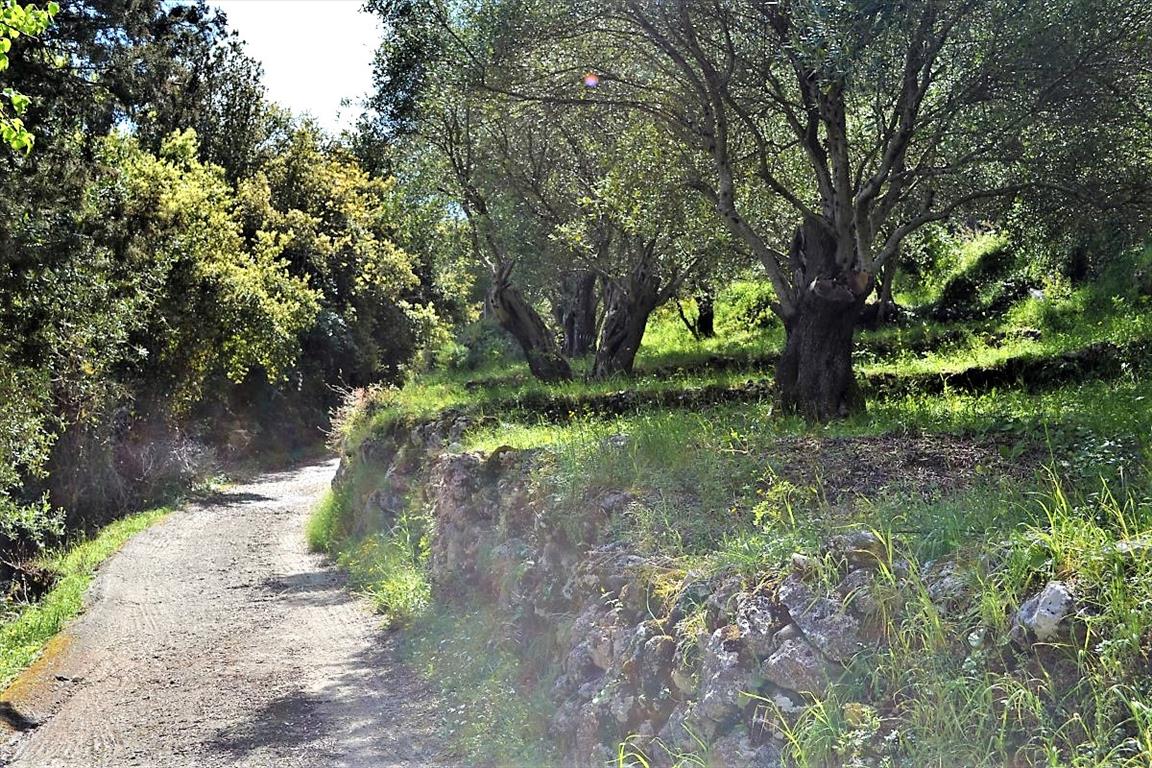 Terrain à Corfou, Grèce, 7 000 m² - image 1