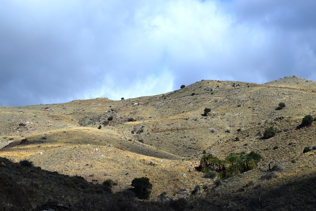 Land in Heraklion, Greece, 43 000 m² - picture 1