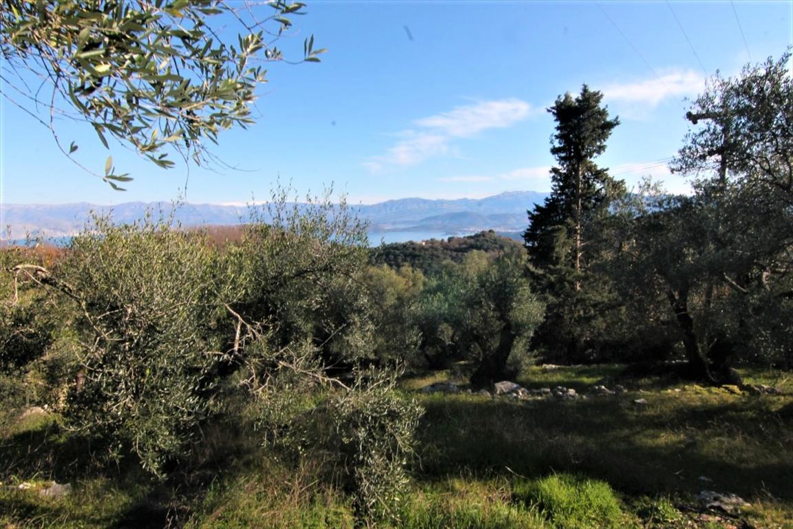 Terrain à Corfou, Grèce, 6 000 m² - image 1