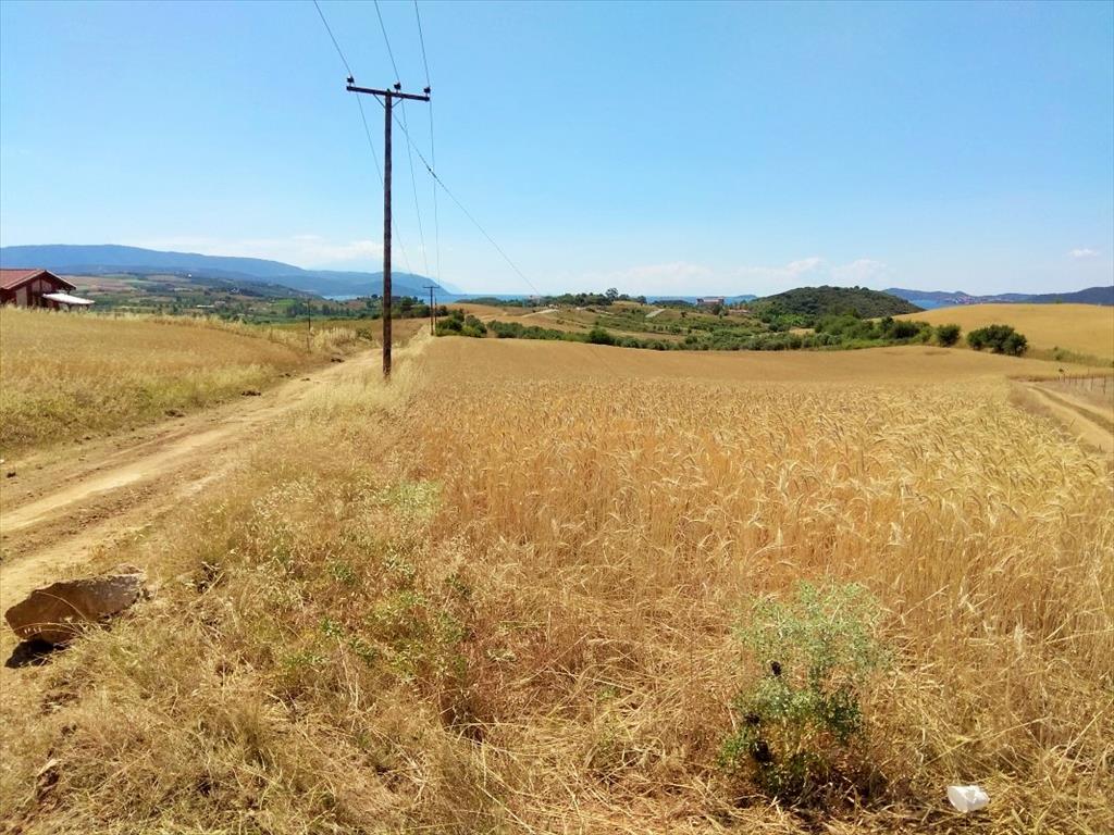 Terreno en Calcídica, Grecia, 9 000 m² - imagen 1
