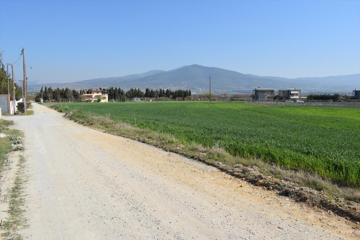 Terreno en Salónica, Grecia, 27 000 m² - imagen 1