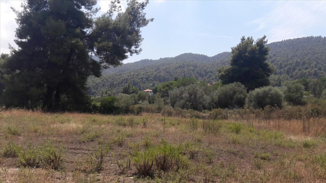 Land in Sithonia, Greece, 6 013 m² - picture 1