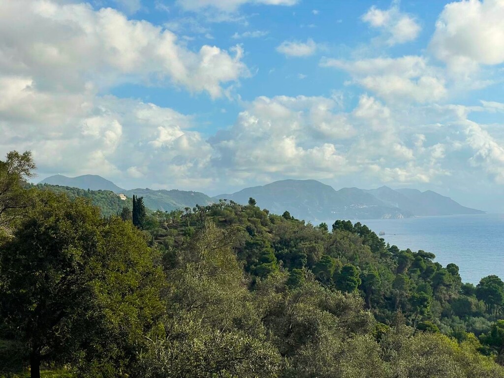 Land in Corfu, Greece, 8 000 m² - picture 1