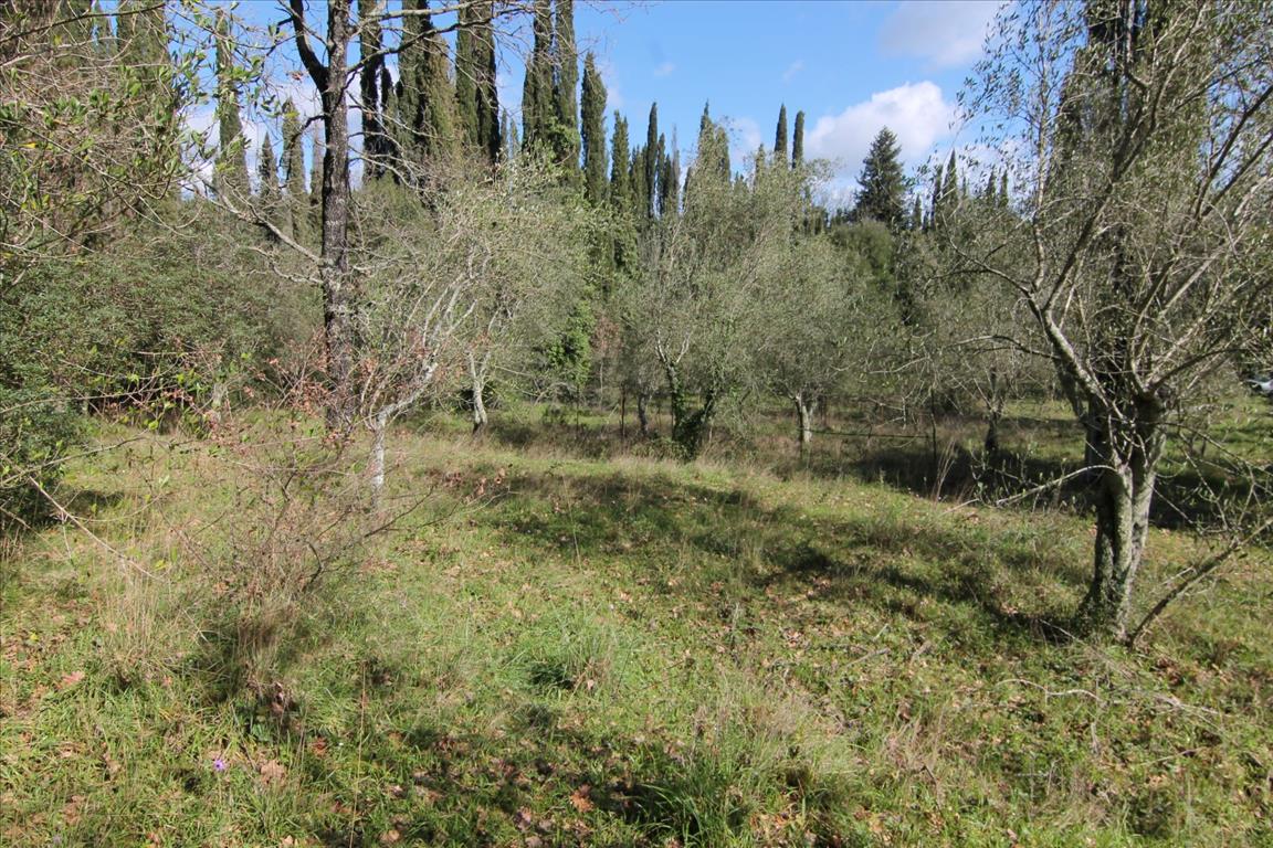 House in Corfu, Greece, 200 m² - picture 1